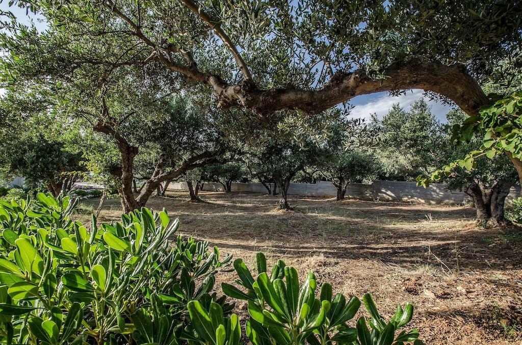 Anemon Villas Kíssamos Dış mekan fotoğraf
